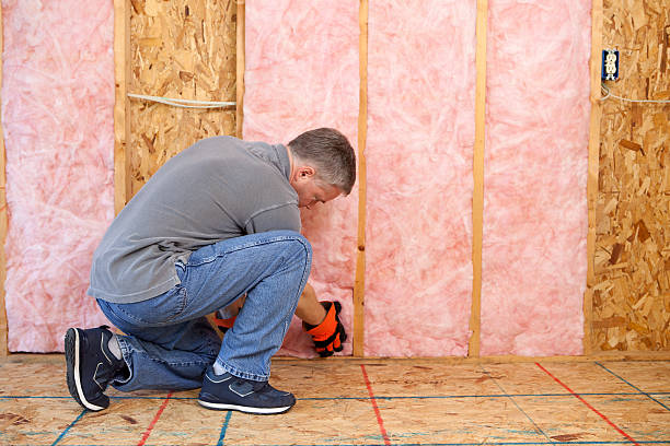 Best Insulation Installation Services in Willard, MO