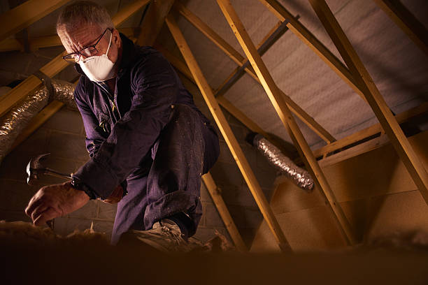Best Insulation Maintenance and Repair in Willard, MO